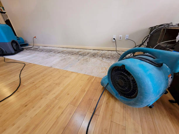 Professional Flood Damage Cleanup technician working in Newtonville, MA